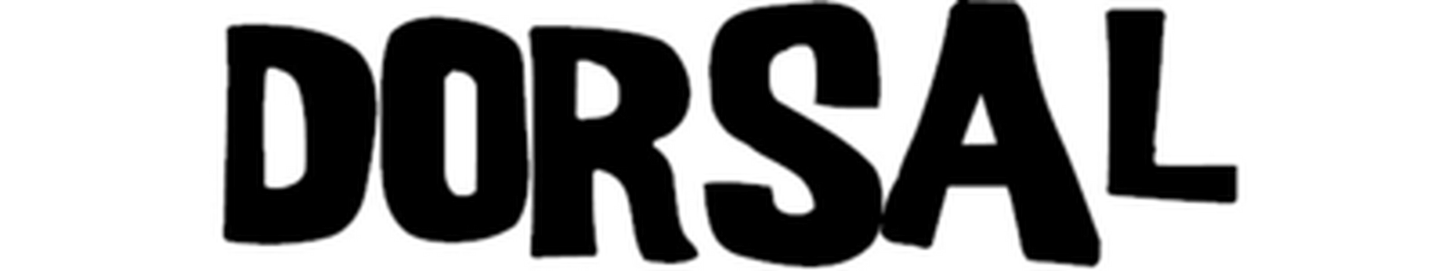 Dorsal Tie Down Straps for Roof Rack Pads Crossbars - Pack of 2 holds Surfboards Kayaks Canoes Paddleboards - Angler's Pro Tackle & Outdoors