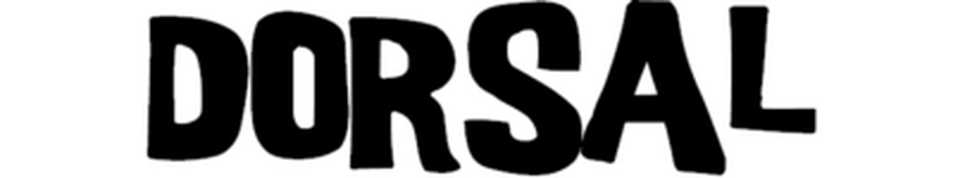 Dorsal Tie Down Straps for Roof Rack Pads Crossbars - Pack of 2 holds Surfboards Kayaks Canoes Paddleboards - Angler's Pro Tackle & Outdoors