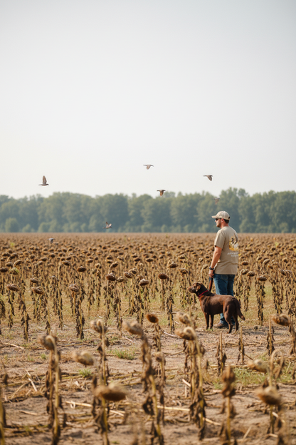 American Flyway Waterfowl Dove Season Tee
