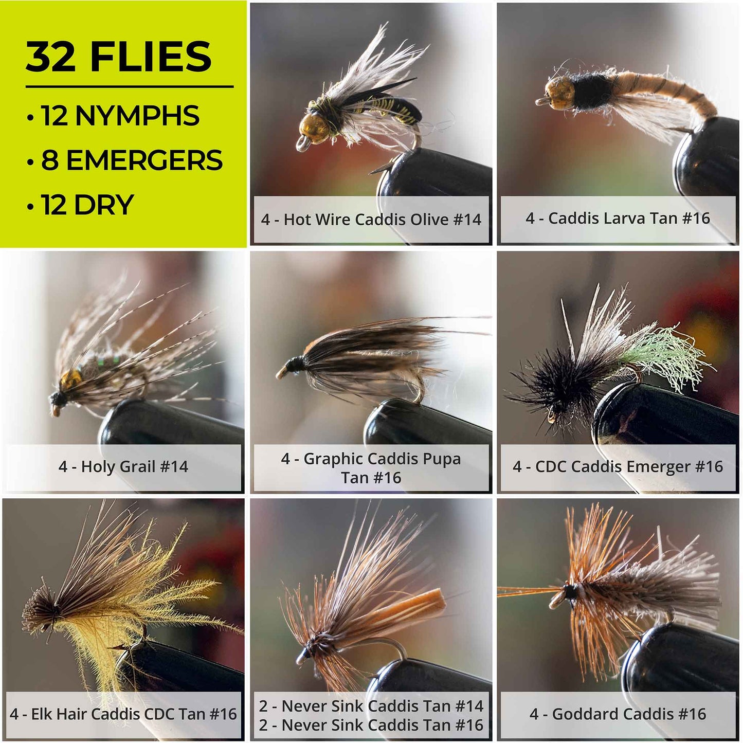 Drifthook - Caddis Life Cycle 32 - Pack Fly Assortment - Angler's Pro Tackle & Outdoors