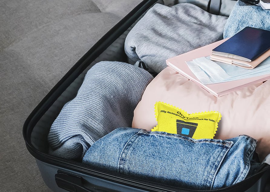 DryTote 100g Rechargeable Desiccant Packs - Angler's Pro Tackle & Outdoors