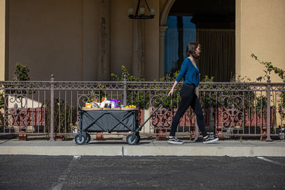 Picnic Time Adventure Wagon Portable Utility Wagon