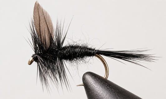 Stone Creek Black Gnat - Black Tail or Red Tail