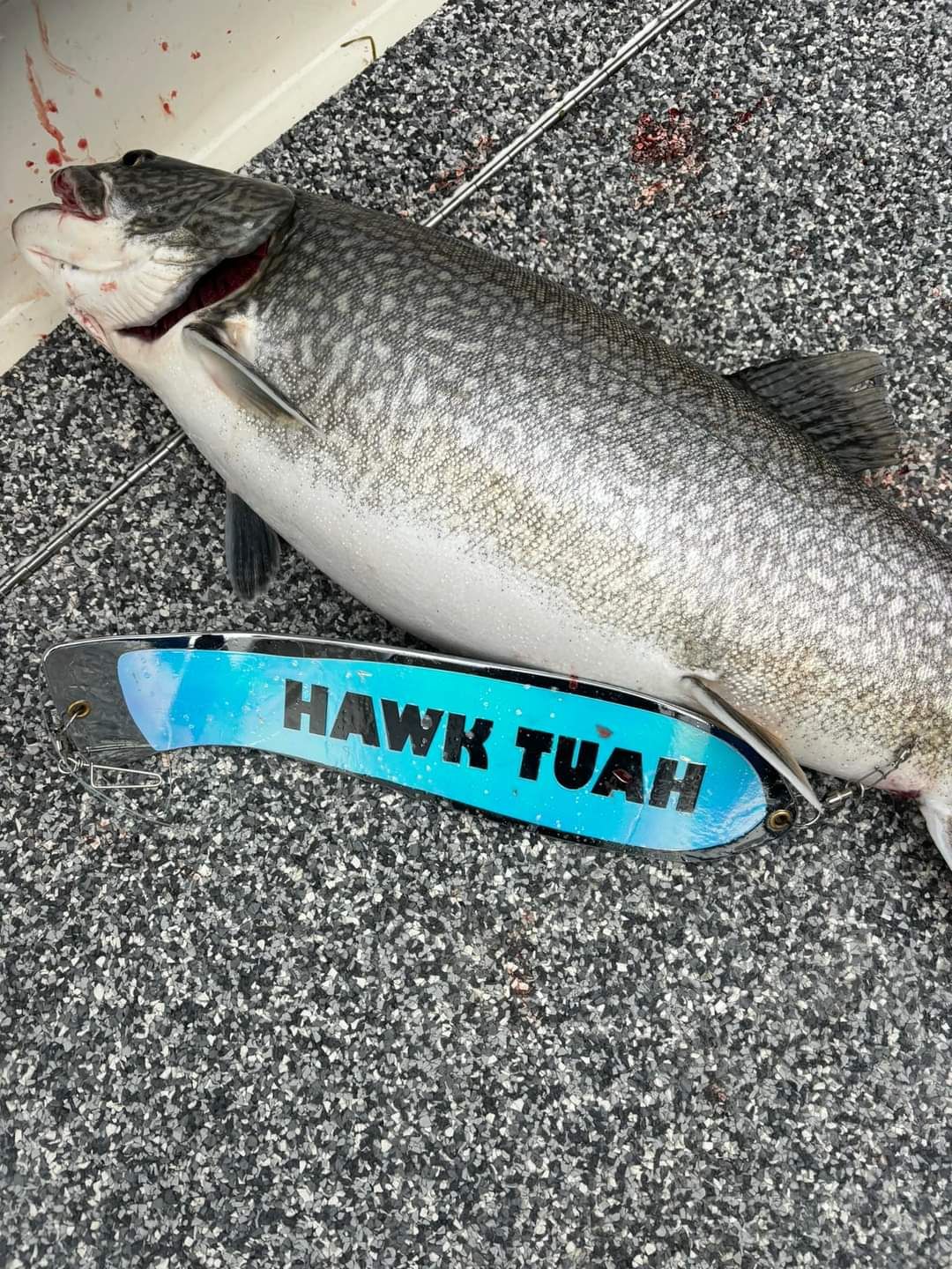 Ice Strong Outdoors - 12" Chrome Dual Fin Fishblade!