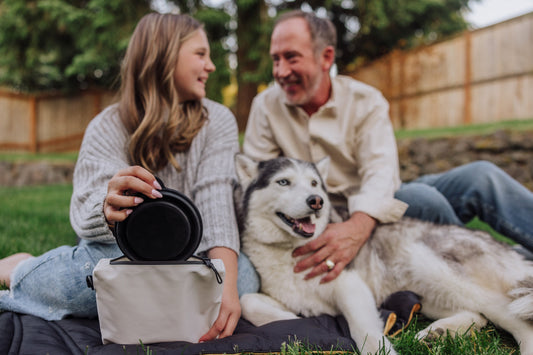 Picnic Time Tarana Dog Travel Kit