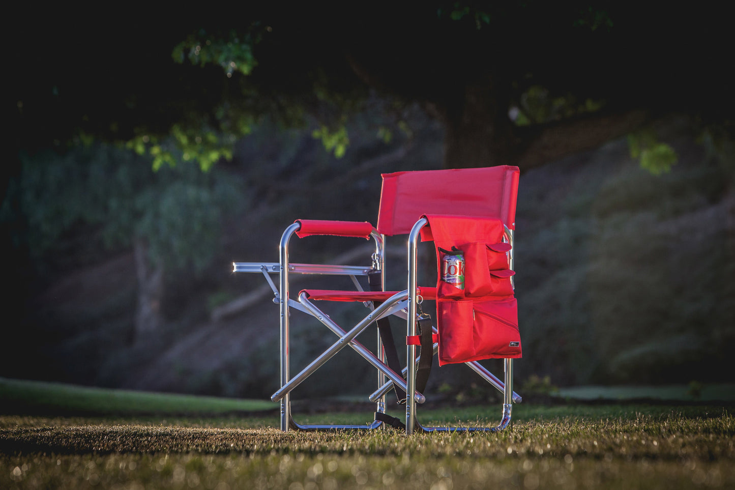 Picnic Time Sports Chair