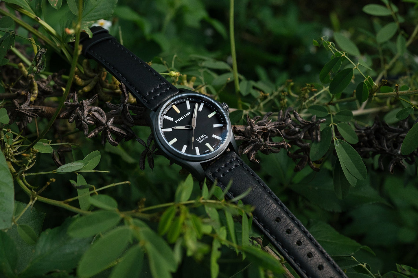 ProTek Watches Model PT3102