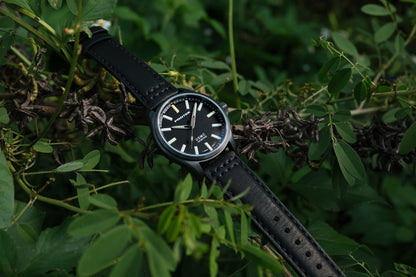 ProTek Watches Model PT3102