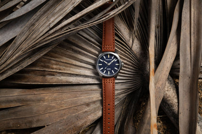 ProTek Watches Model PT3103