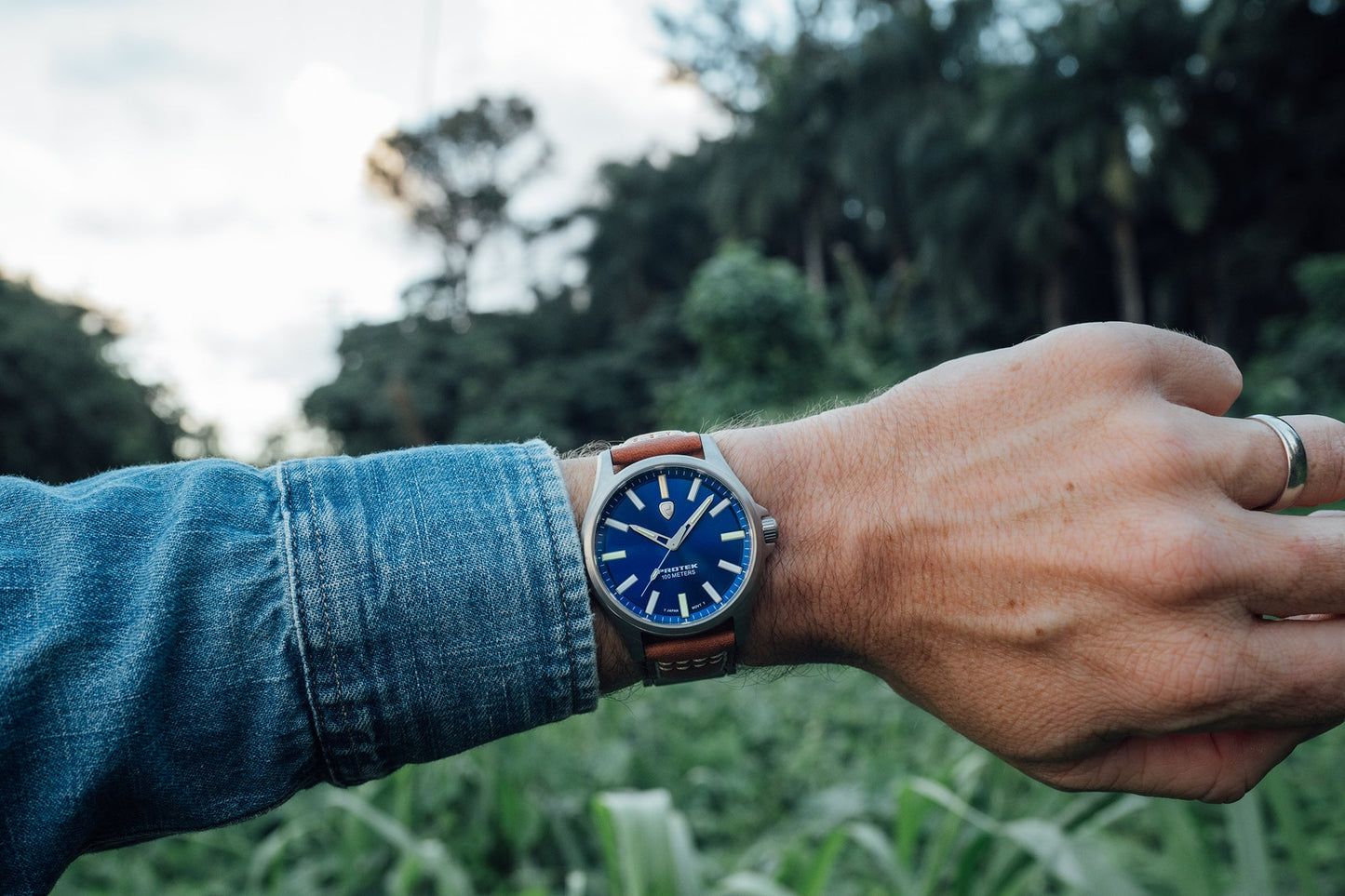 ProTek Watches Model PT3003