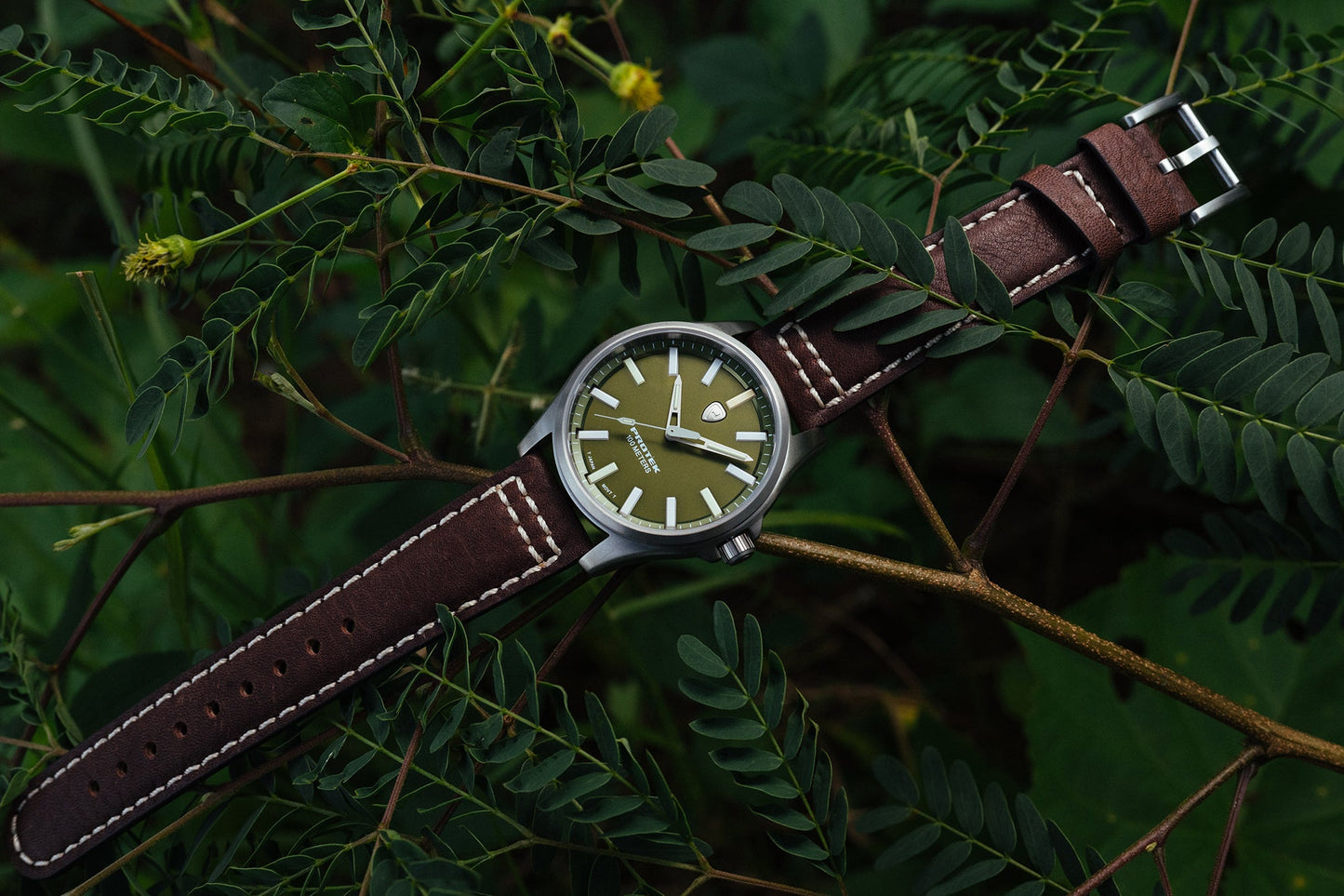 ProTek Watches Model PT3005
