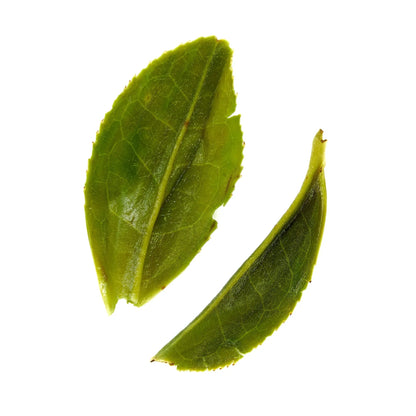 August Uncommon Tea Rare Leaves Emerald - Single Estate Pi Lo Chun Green Tea