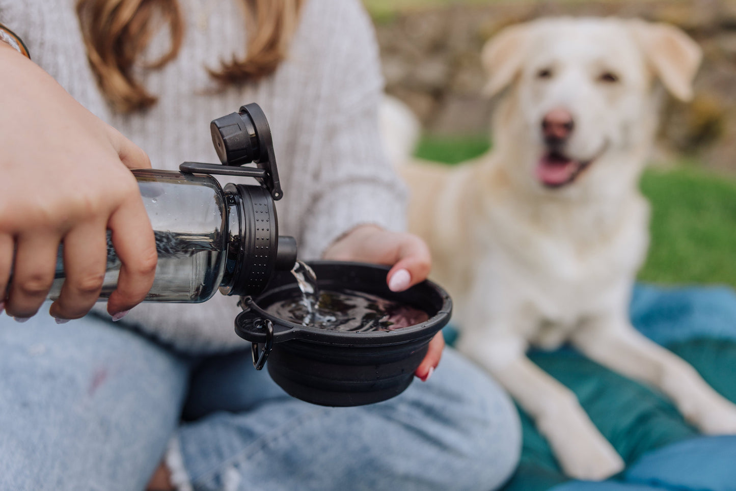 Picnic Time Tarana Dog Travel Kit
