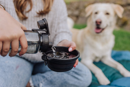 Picnic Time Tarana Dog Travel Kit