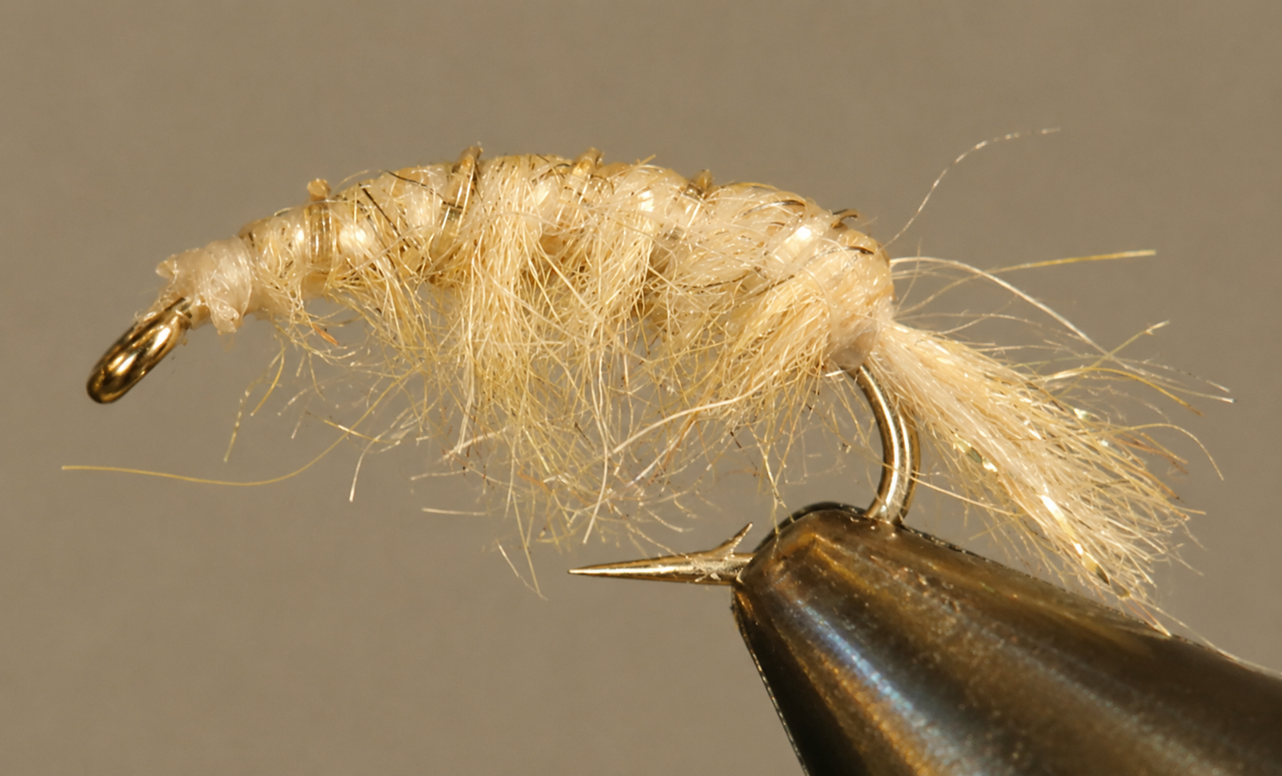 Stone Creek Molting Scuds