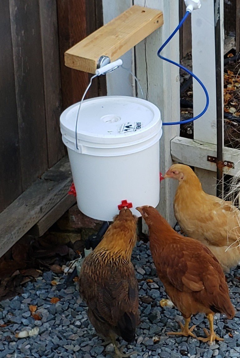 Farmer Brad Automatic Chicken Waterer (2 Gallon) - Angler's Pro Tackle & Outdoors