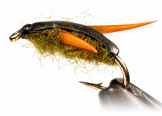 Stone Creek Water Boatman