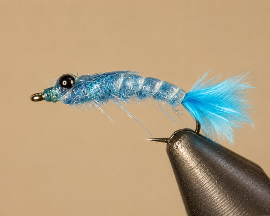 Stone Creek Blue Damselfly Nymph