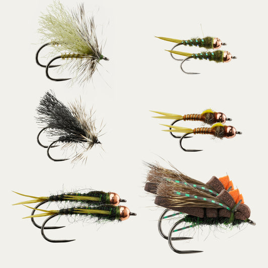 Postfly Early Season Stonefly BugCycle Fly Assortment