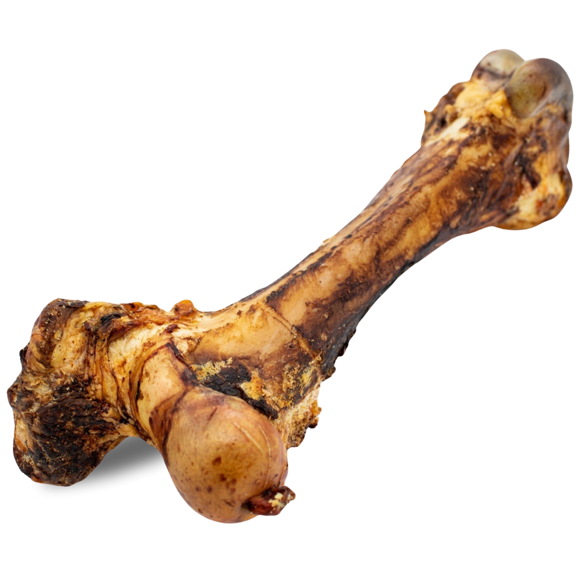 Bully Bunches - Monster Femur Bone