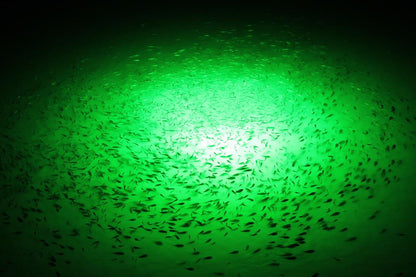 Under Water Green Fishing Lights LED Drop Light 1000 (12V)