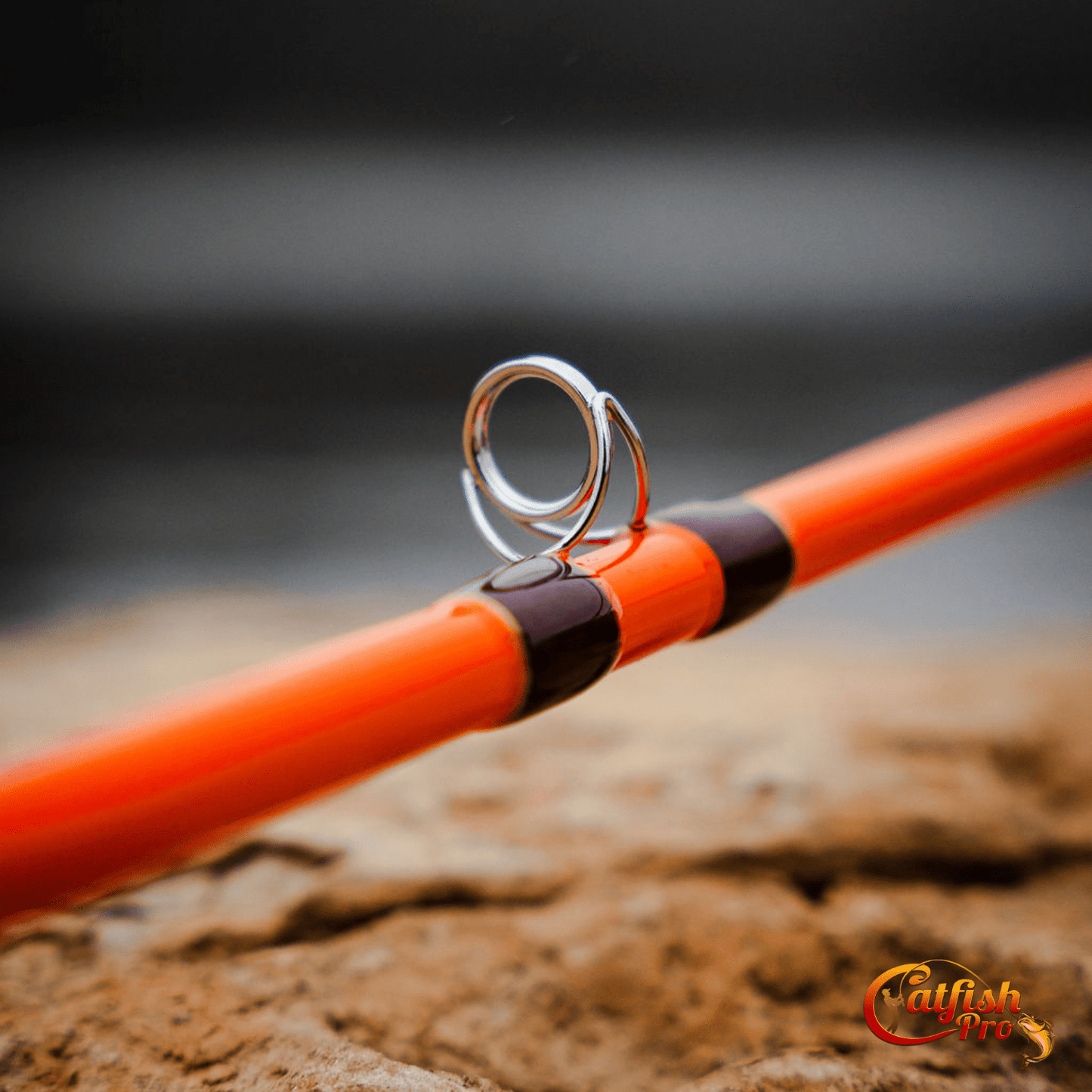 Catfish Pro Fishing For Fun Spinning Rod