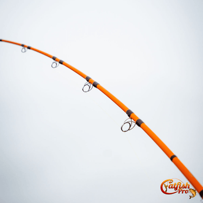 Catfish Pro Fishing For Fun Spinning Rod
