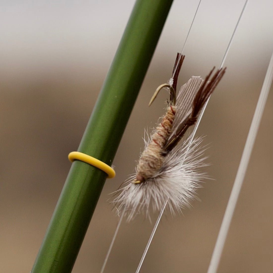 Solyce Fly Rings