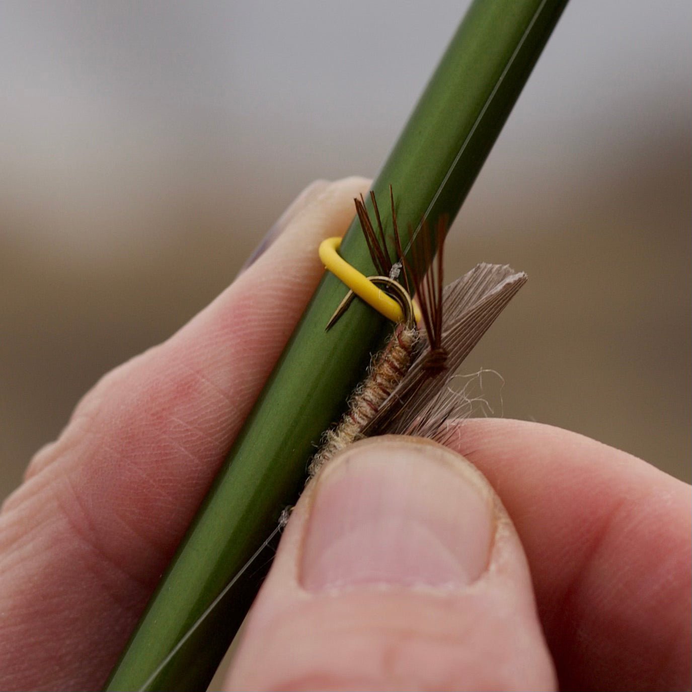 Solyce Fly Rings