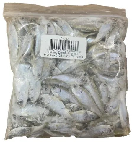 FROZEN SHAD - 8oz BAG - Angler's Pro Tackle & Outdoors
