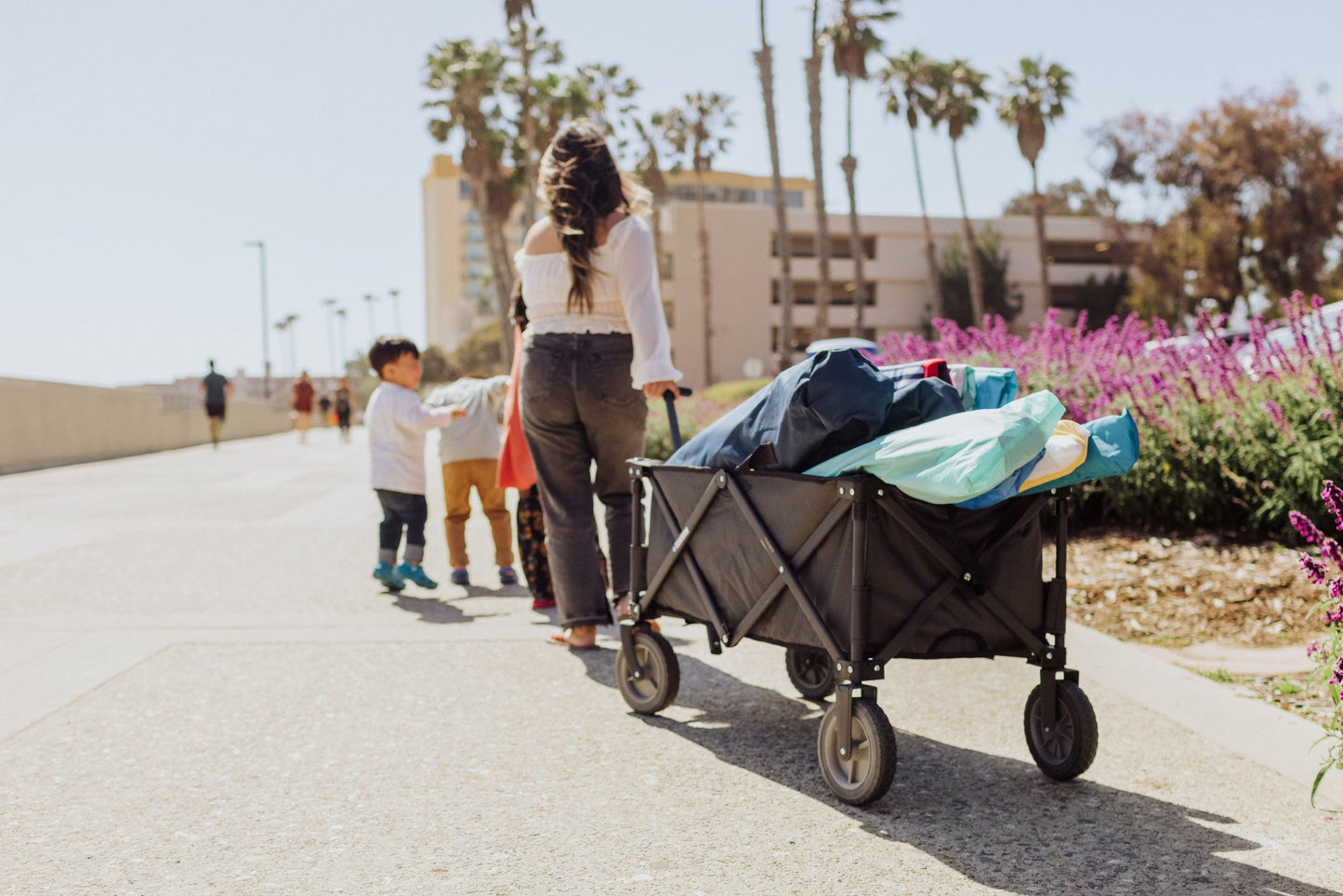 Picnic Time Adventure Wagon Portable Utility Wagon