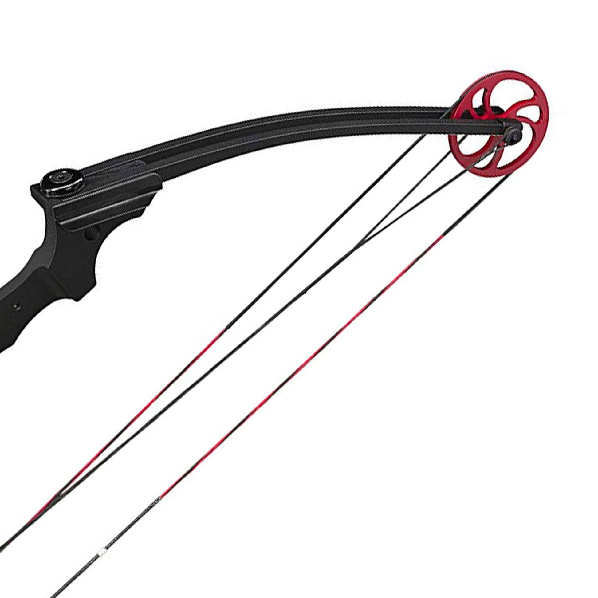 Genesis Archery Compound Bow Adjustable Sizing for Left Handed, Black (2 Pack) - Angler's Pro Tackle & Outdoors