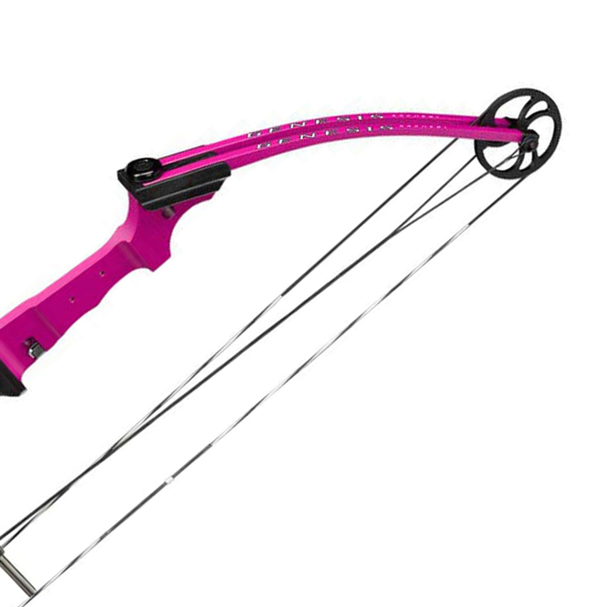 Genesis Archery Compound Bow Adjustable Sizing for Right Handed, Purple (2 Pack) - Angler's Pro Tackle & Outdoors