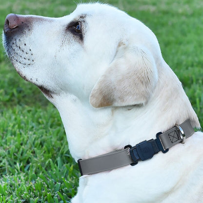 Dogline Herm Sprenger - ClicLock Safety Fastener for Flat-Style Collars – Black Stainless Steel