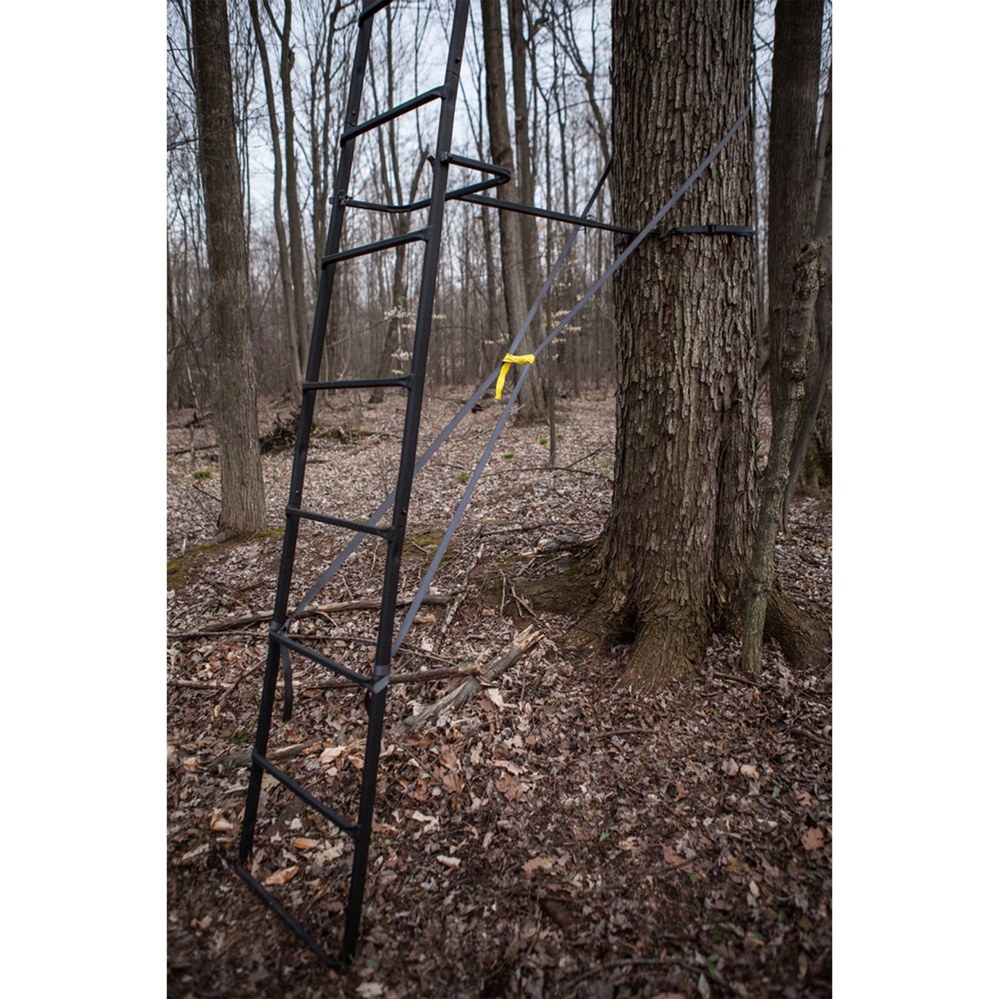 Hawk Big Denali Steel 18' 2 - Man Ladder Treestand with Safe - Tread Steps (2 Pack) - Angler's Pro Tackle & Outdoors