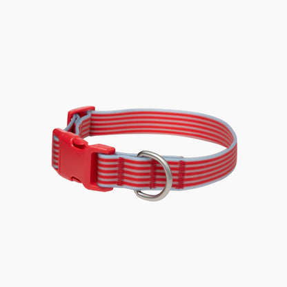 Springland Pets Waterproof Dog Collar