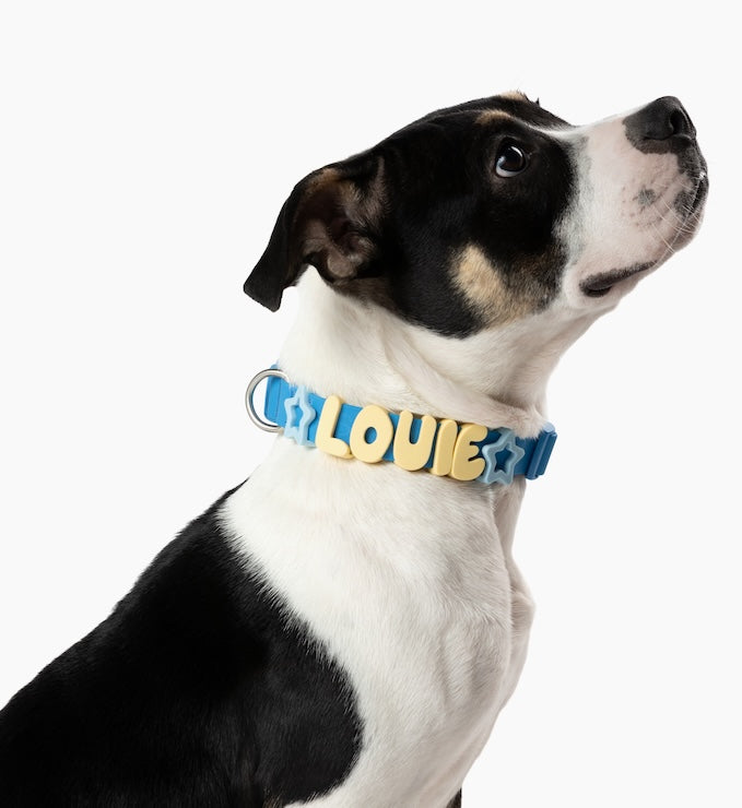 Springland Pets Waterproof Dog Collar