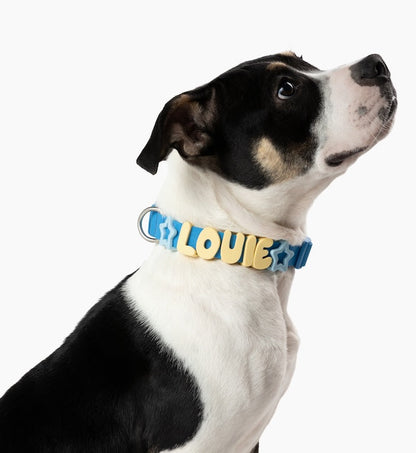 Springland Pets Waterproof Dog Collar