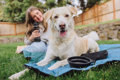 Picnic Time Tarana Dog Travel Kit