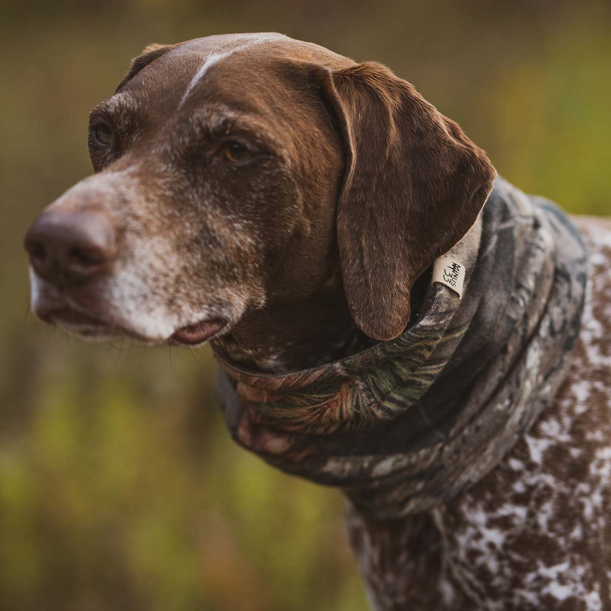 Minus33 Midweight - Neck Gaiter 100% Merino Wool