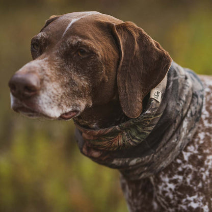 Minus33 Midweight - Neck Gaiter 100% Merino Wool