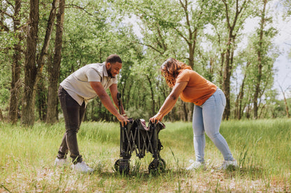 Picnic Time Wilderness All-Terrain Folding Wagon