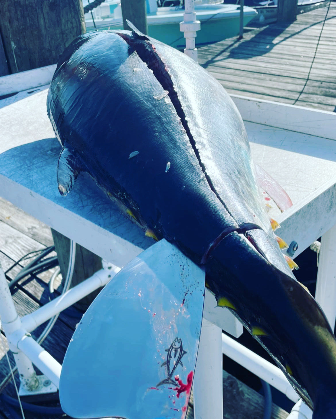 Greg Cimms Knives 8” Tuna Cleaver