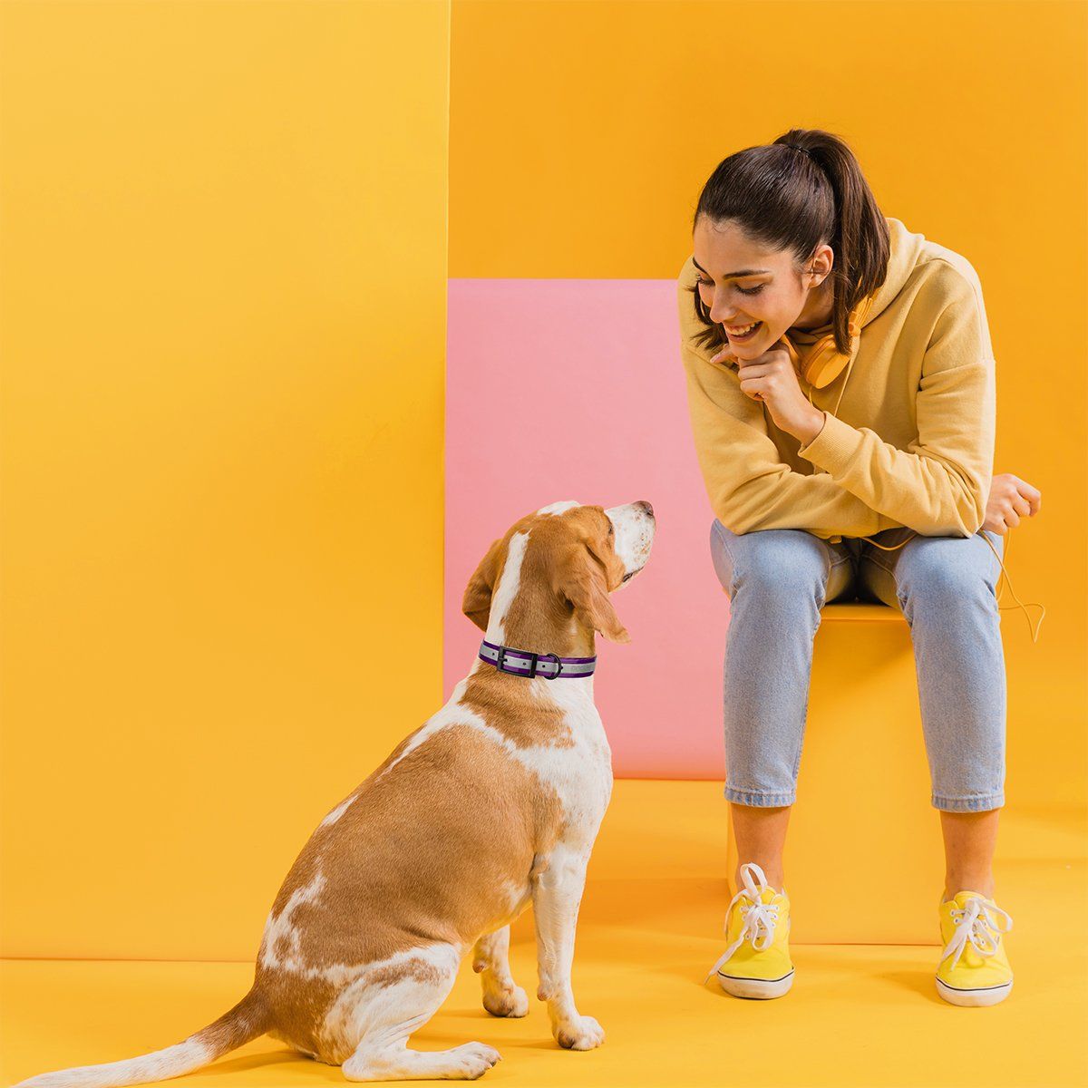 Dogline Biothane Translucent Reflective Collar