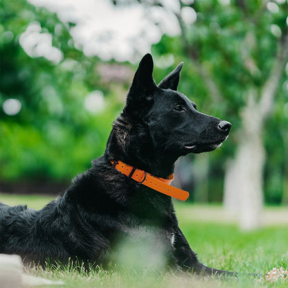 Dogline Biothane E-Collar Replacement Strap