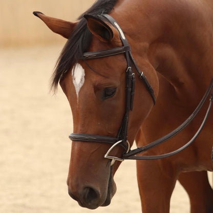 Remarkable Leather Goods Bridle Plate