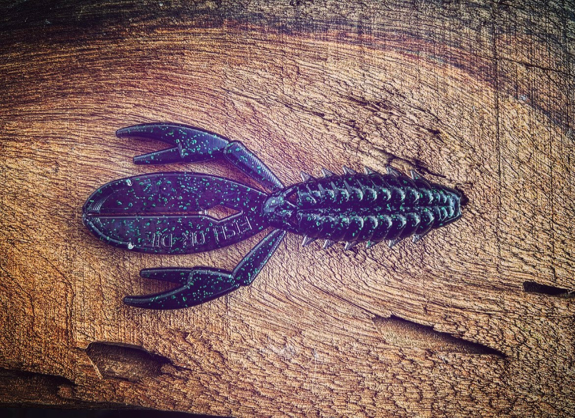 Fish or Die The Sherman