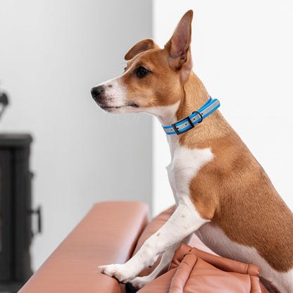 Dogline Biothane Translucent Reflective Collar