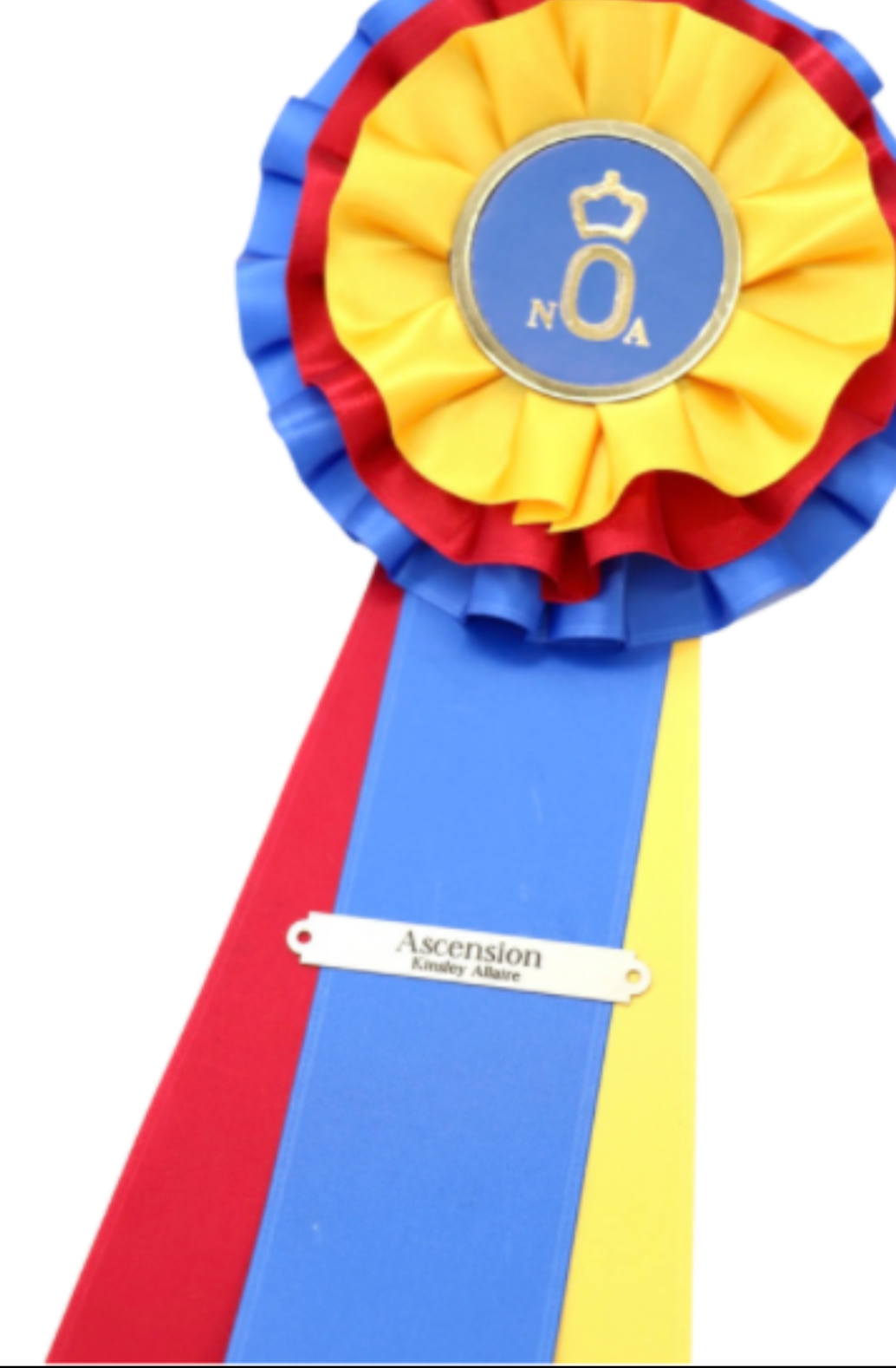 Remarkable Leather Goods Bridle Plate