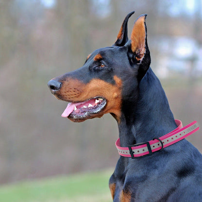 Dogline Biothane E-Collar Replacement Reflective Strap